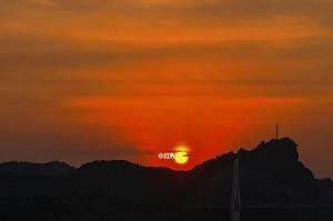 天空下的自由（一只小鸟的奋斗史）