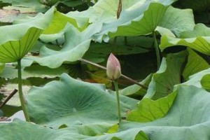 蕴藏在内心深处的不可言喻力量（从一个小女孩的故事看人类的命运）
