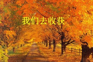 耕耘之果（一分耕耘，一分收获）