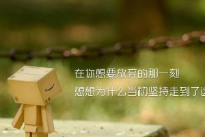 唯有青春，唯有努力（一代人的奋斗史）