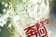 青春的选择（青春的选择）