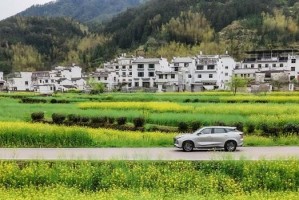 春日温润田野大地（美好生活之路）
