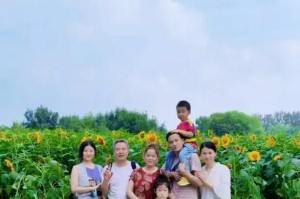 亲情无价，家的温暖（亲情无价，家的温暖）
