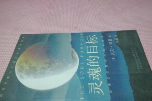 追逐梦想的少年（在生命的道路上寻找真正的意义）