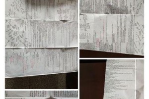 阳光少年的喜悦（用智慧收获喜悦）