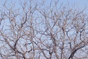 春暖花开，人间美好（一个家庭的春天故事）