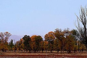 秋天的故乡（回忆、欣喜和家人）