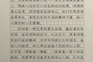 成功的快乐（一个男孩的奋斗之路）