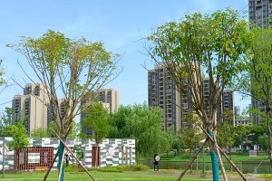五城同创：一段创业路上的故事