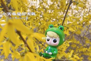 温暖春风（一段难忘的故事）