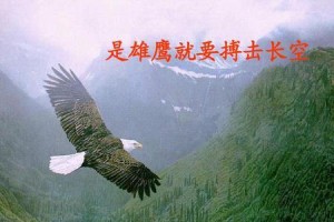 坚定信念，永远无敌（成功的背后，是坚守信仰的力量）