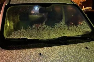 等待第一缕雪花的到来（等待第一缕雪花的到来）