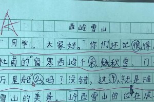 小溪谷的故事（探秘自然之美）
