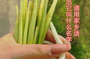 回忆故乡童年（那些年，我们一起长大）