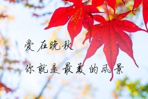 跟随愿望，珍爱身边（一个小镇的故事）