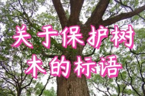 保护树木，让城市更加美好（一颗小树，一份坚持）