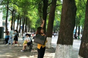 怀旧时光（美好的回忆）