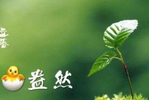 春天的故事（春天，生命的开始）