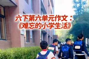 小学六年级，光辉岁月（难忘的课堂、友情和成长）