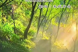 一位老人的故事（一位老人的故事）