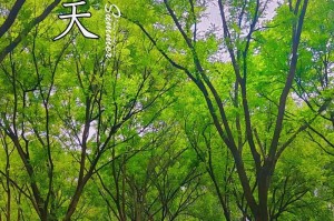寻找身边的美（发现身边的惊喜）