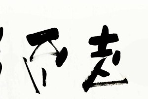 最终胜利属于坚持不懈的人（一个励志的小故事）