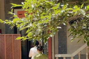 静谧山林（找回自我）