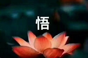 路途漫漫，生命不短（一只疲惫的老鼠的奋斗历程）