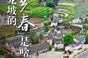 花香如梦（一朵名为“快乐”的花）
