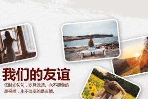 一生所爱（一生所爱）