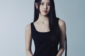 成功的魅力