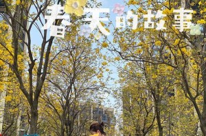 救援队员的温暖（他们不仅守护生命，也温暖着灵魂）
