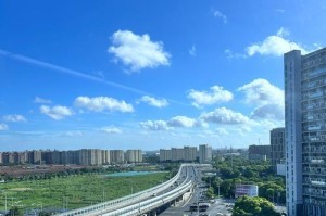 曾有一片美丽的风景（回忆童年美好时光）