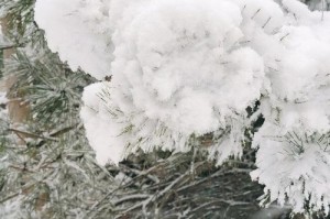 洁白飞雪，暖心冬天（好心老人与迷路孩子）