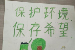 保护环境，从我做起（一个小学生的环保故事）