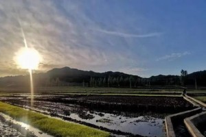 坚持耕耘，收获希望（用时间，种下未来）