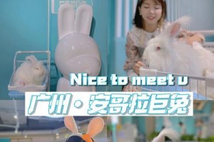 又爱又怕的朋友（跌宕起伏的人生）