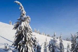 一场美丽的冬日雪（探寻冬日雪的魅力）