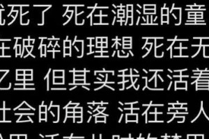 追寻未来的脚步（追寻未来的脚步）