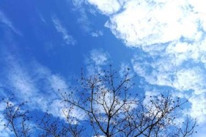天空的自由