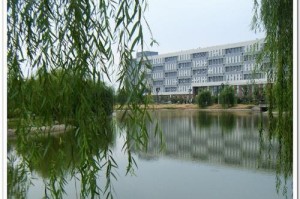 校园风景大赏：在阳光下闲庭信步