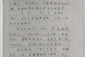 这一次，我被感动了（一个陌生人的爱，温暖了我的心）