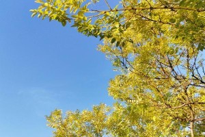 未来希望（点亮前行的灯火）
