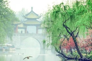 寻觅春天的美色（一场逐梦之旅）