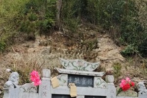 清明节（一场意外的事故，让我深刻感受到生命的脆弱与珍贵）