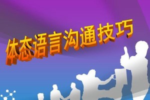 风语之舟：以语言驶向沟通的彼岸