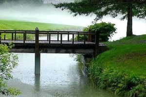 小桥流水的故事（故乡情怀）