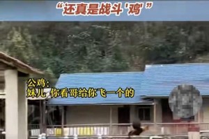 母鸡的翅膀（一只能飞的母鸡的奇幻冒险）