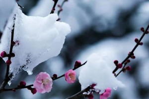 冬季风景故事——白雪纷飞（冰雪世界中的温暖）