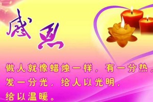 感恩与诚信（一个小学生的成长故事）